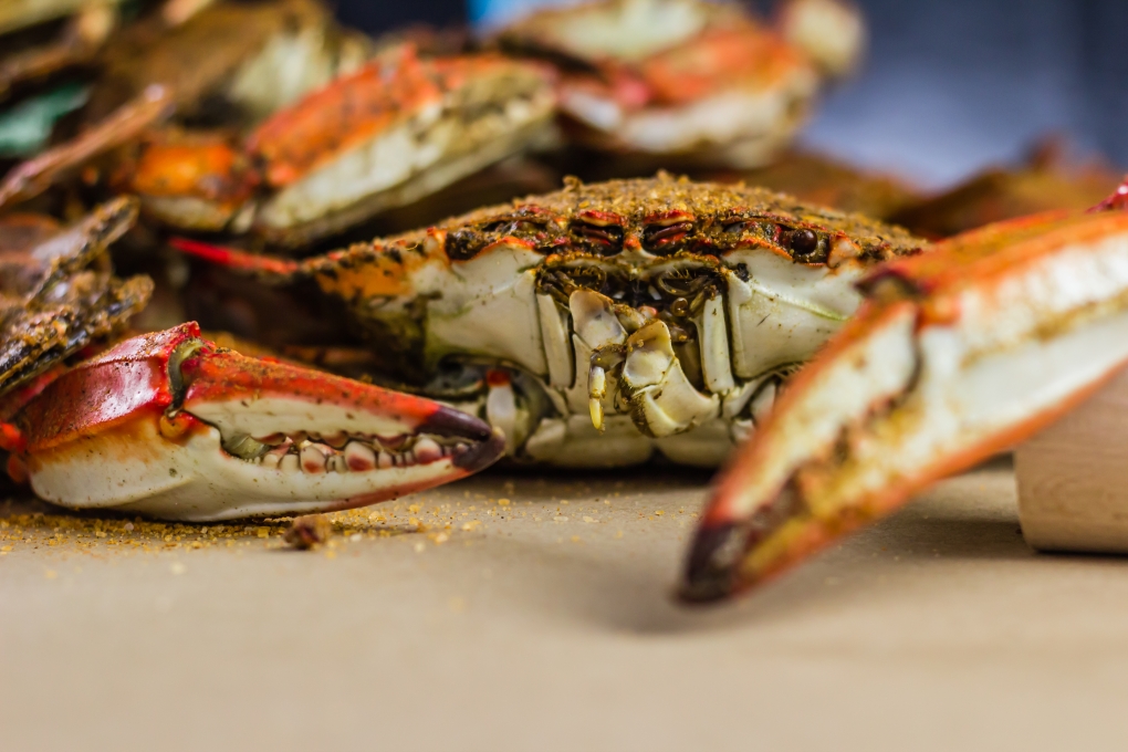 Voted Best Steamed Crabs!