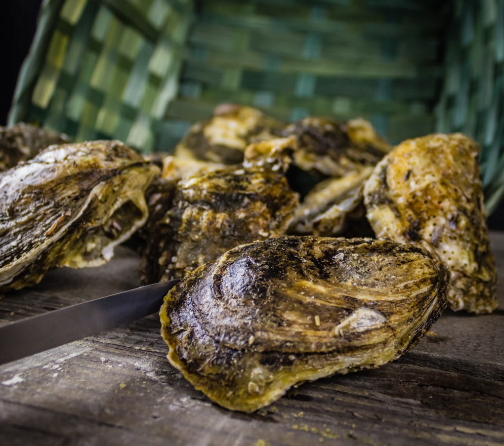 Blue Point Crab House » bluepointcrab